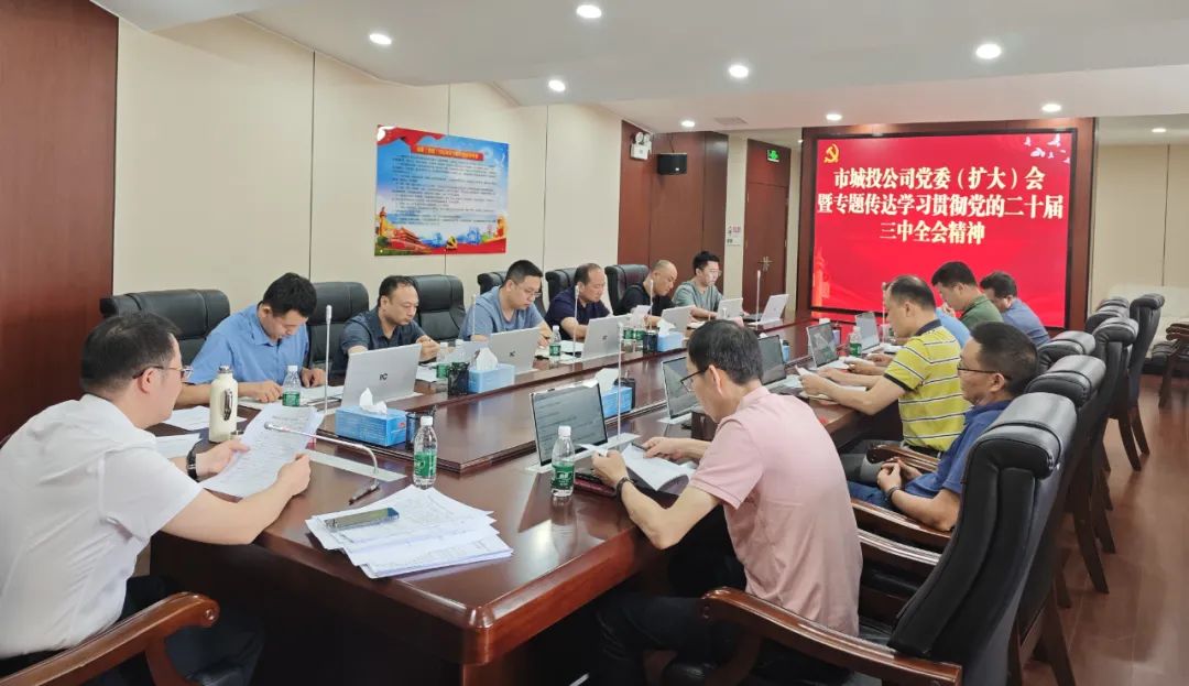 市城投公司召開黨委（擴大）會議專題傳達學習貫徹黨的二十屆三中全會精神